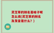 灵芝草的别名是啥子呢怎么读(灵芝草的别名及发音是什么？)