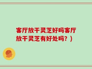 客厅放干灵芝好吗客厅放干灵芝有好处吗？)