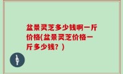 盆景灵芝多少钱啊一斤价格(盆景灵芝价格一斤多少钱？)