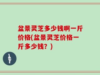 盆景灵芝多少钱啊一斤价格(盆景灵芝价格一斤多少钱？)