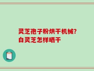 灵芝孢子粉烘干机械？白灵芝怎样晒干