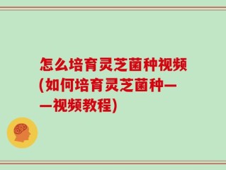 怎么培育灵芝菌种视频(如何培育灵芝菌种——视频教程)