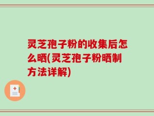 灵芝孢子粉的收集后怎么晒(灵芝孢子粉晒制方法详解)