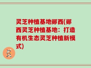 灵芝种植基地郧西(郧西灵芝种植基地：打造有机生态灵芝种植新模式)