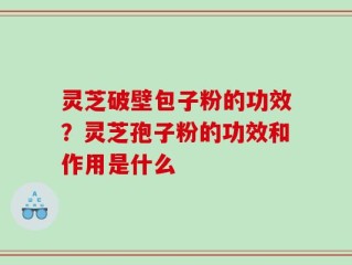 灵芝破壁包子粉的功效？灵芝孢子粉的功效和作用是什么