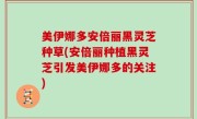 美伊娜多安倍丽黑灵芝种草(安倍丽种植黑灵芝引发美伊娜多的关注)