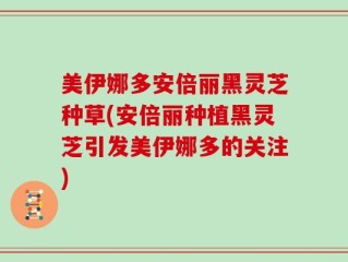 美伊娜多安倍丽黑灵芝种草(安倍丽种植黑灵芝引发美伊娜多的关注)