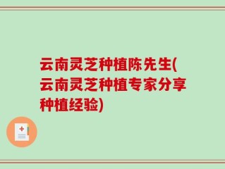 云南灵芝种植陈先生(云南灵芝种植专家分享种植经验)