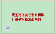 灵芝孢子自己怎么提取？孢子粉是怎么来的