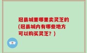 冠县城里哪里卖灵芝的(冠县城内有哪些地方可以购买灵芝？)