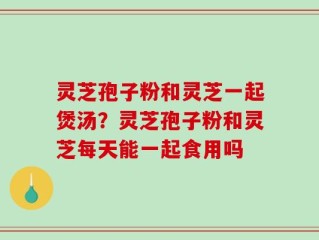灵芝孢子粉和灵芝一起煲汤？灵芝孢子粉和灵芝每天能一起食用吗