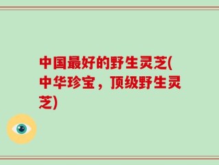 中国最好的野生灵芝(中华珍宝，顶级野生灵芝)