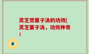灵芝煲粟子汤的功效(灵芝粟子汤，功效神奇！