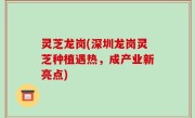 灵芝龙岗(深圳龙岗灵芝种植遇热，成产业新亮点)