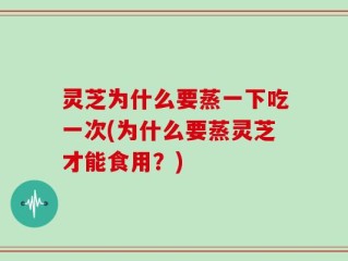 灵芝为什么要蒸一下吃一次(为什么要蒸灵芝才能食用？)