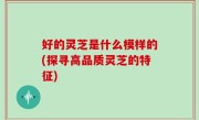 好的灵芝是什么模样的(探寻高品质灵芝的特征)