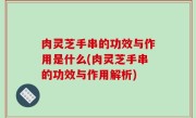 肉灵芝手串的功效与作用是什么(肉灵芝手串的功效与作用解析)