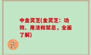 中金灵芝(金灵芝：功效、用法和禁忌，全面了解)