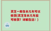 灵芝一般生长几年可以收获(灵芝生长几年后可收获？详解在这！)