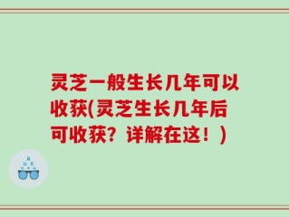 灵芝一般生长几年可以收获(灵芝生长几年后可收获？详解在这！)