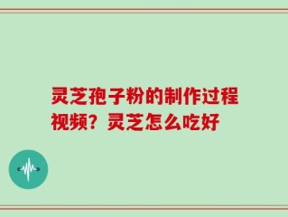 灵芝孢子粉的制作过程视频？灵芝怎么吃好