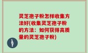 灵芝孢子粉怎样收集方法好(收集灵芝孢子粉的方法：如何获得高质量的灵芝孢子粉)