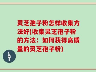 灵芝孢子粉怎样收集方法好(收集灵芝孢子粉的方法：如何获得高质量的灵芝孢子粉)