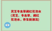 灵芝冬虫草藏红花泡水(灵芝、冬虫草、藏红花泡水，养生新潮流)
