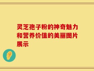 灵芝孢子粉的神奇魅力和营养价值的美丽图片展示
