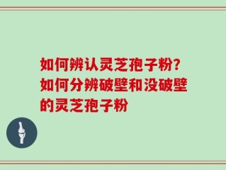 如何辨认灵芝孢子粉？如何分辨破壁和没破壁的灵芝孢子粉