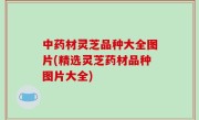中药材灵芝品种大全图片(精选灵芝药材品种图片大全)