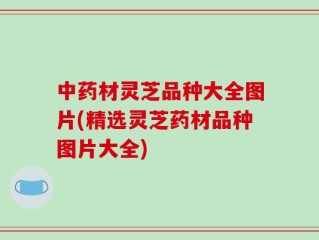 中药材灵芝品种大全图片(精选灵芝药材品种图片大全)