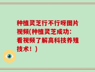 种植灵芝行不行呀图片视频(种植灵芝成功：看视频了解高科技养殖技术！)