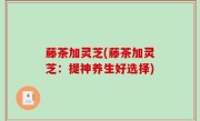 藤茶加灵芝(藤茶加灵芝：提神养生好选择)