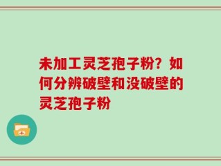 未加工灵芝孢子粉？如何分辨破壁和没破壁的灵芝孢子粉