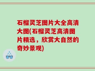 石榴灵芝图片大全高清大图(石榴灵芝高清图片精选，欣赏大自然的奇妙景观)