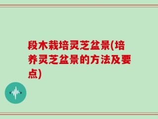段木栽培灵芝盆景(培养灵芝盆景的方法及要点)