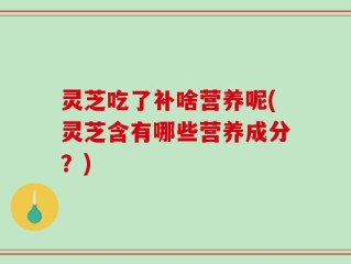 灵芝吃了补啥营养呢(灵芝含有哪些营养成分？)