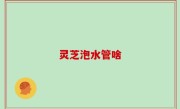 灵芝泡水管啥
