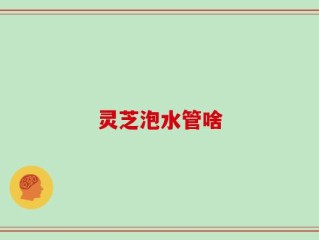 灵芝泡水管啥