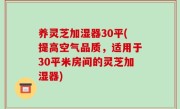 养灵芝加湿器30平(提高空气品质，适用于30平米房间的灵芝加湿器)