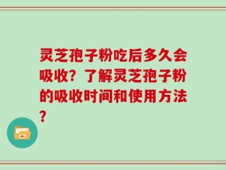 灵芝孢子粉吃后多久会吸收？了解灵芝孢子粉的吸收时间和使用方法？