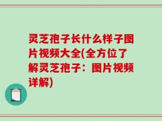 灵芝孢子长什么样子图片视频大全(全方位了解灵芝孢子：图片视频详解)