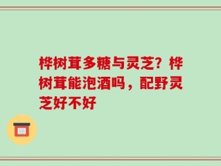 桦树茸多糖与灵芝？桦树茸能泡酒吗，配野灵芝好不好