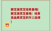 聚芝源灵芝培育基地(聚芝源灵芝基地：培育高品质灵芝的不二选择)