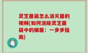 灵芝菌袋怎么消灭菌的视频(如何消除灵芝菌袋中的细菌：一步步指南)