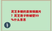 灵芝多糖的显微镜图片？灵芝孢子粉破壁99%什么意思