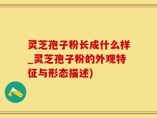灵芝孢子粉长成什么样_灵芝孢子粉的外观特征与形态描述)