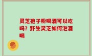 灵芝孢子粉喝酒可以吃吗？野生灵芝如何泡酒喝