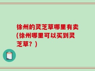 徐州的灵芝草哪里有卖(徐州哪里可以买到灵芝草？)